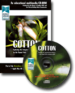 Cotton - click for more details!