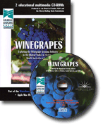 Winegrapes - click for more details!